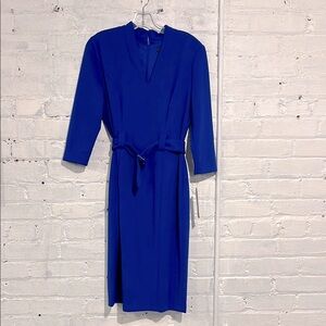 Ivy + Blu | Dresses | 35 Ivy Blu Sheath Dress